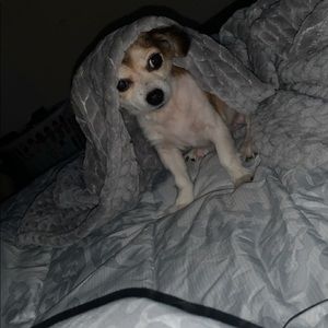 Meet your Posher, Ciara